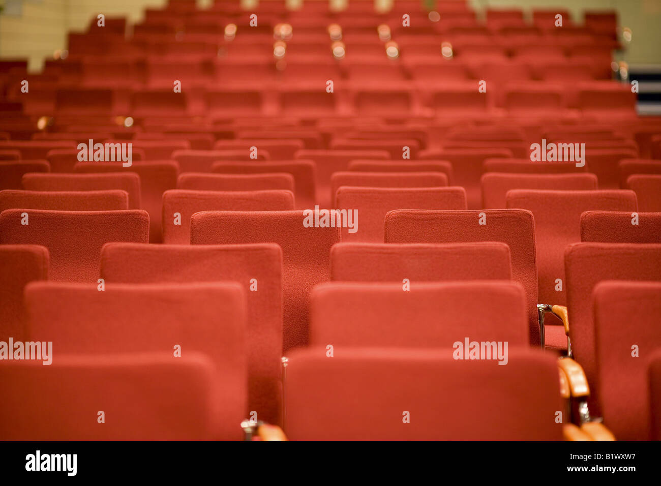 chairs in a cinema Stock Photo