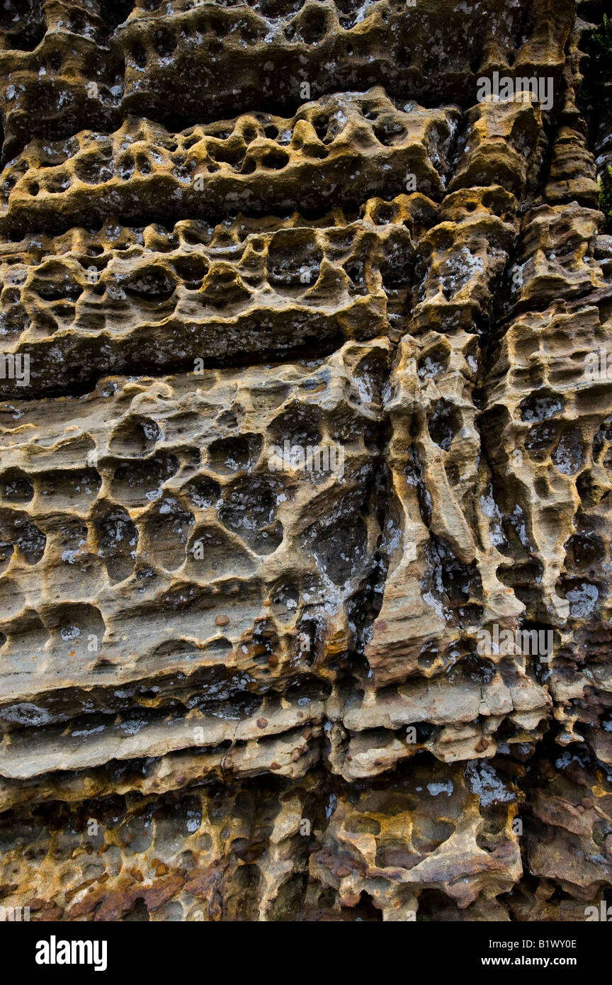 Sandstone rock formation Hopeman coast line Morayshire Scotland Stock Photo