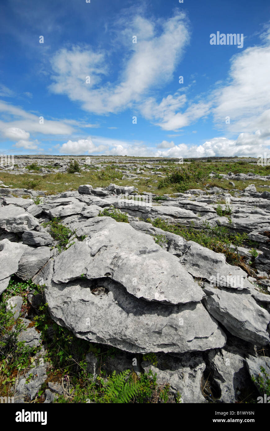 The Burren. Co Clare, Ireland Stock Photo Alamy
