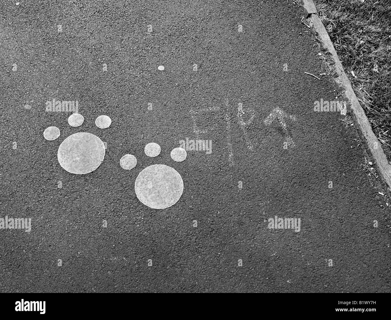 Painted paw prints on a tarmac path Stock Photo