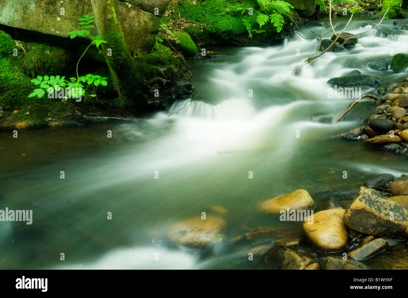 Goit Stock waterfall at Harden, near Bradford West Yorkshire Stock