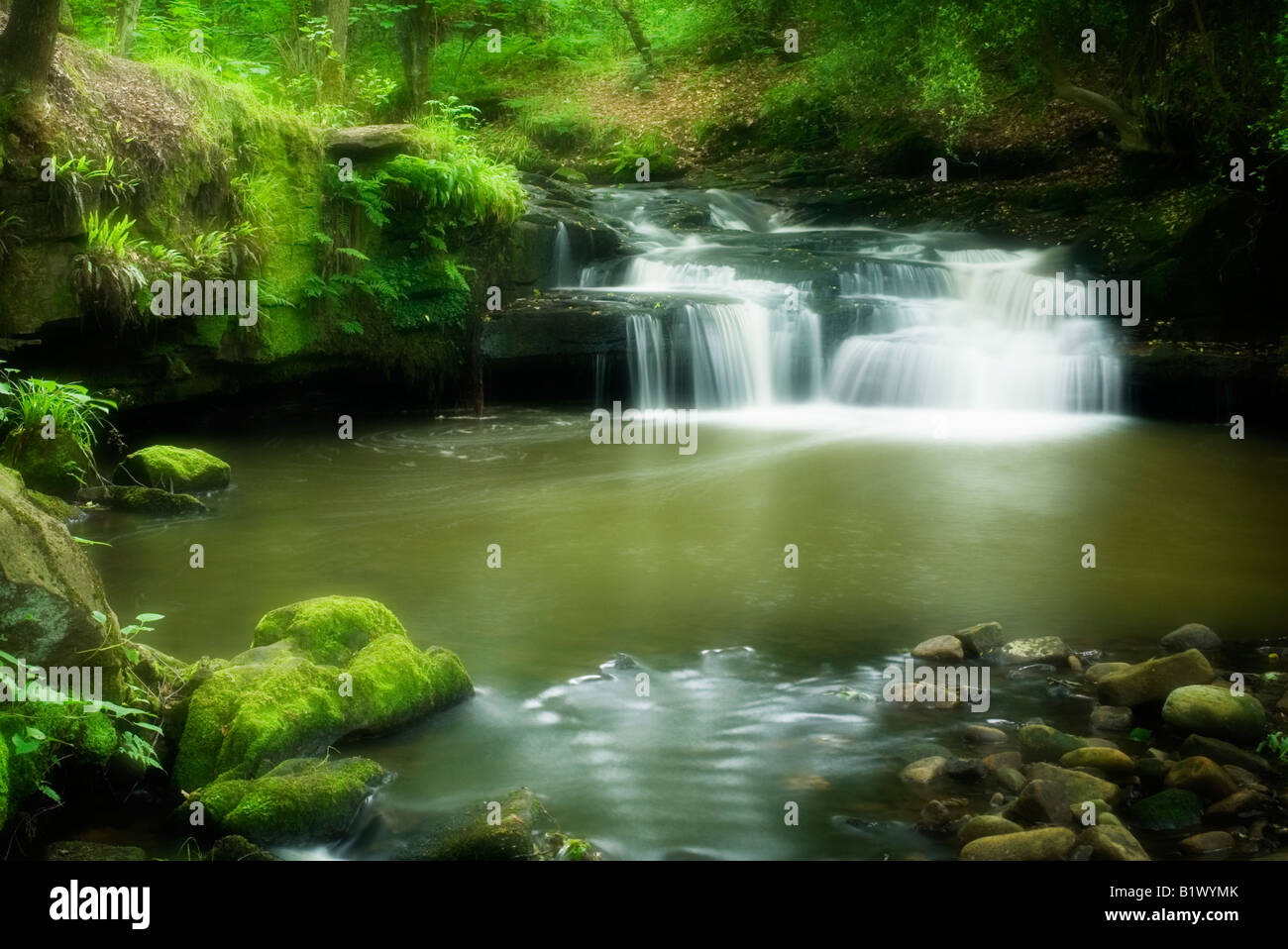 Goit Stock waterfall at Harden, near Bradford West Yorkshire Stock