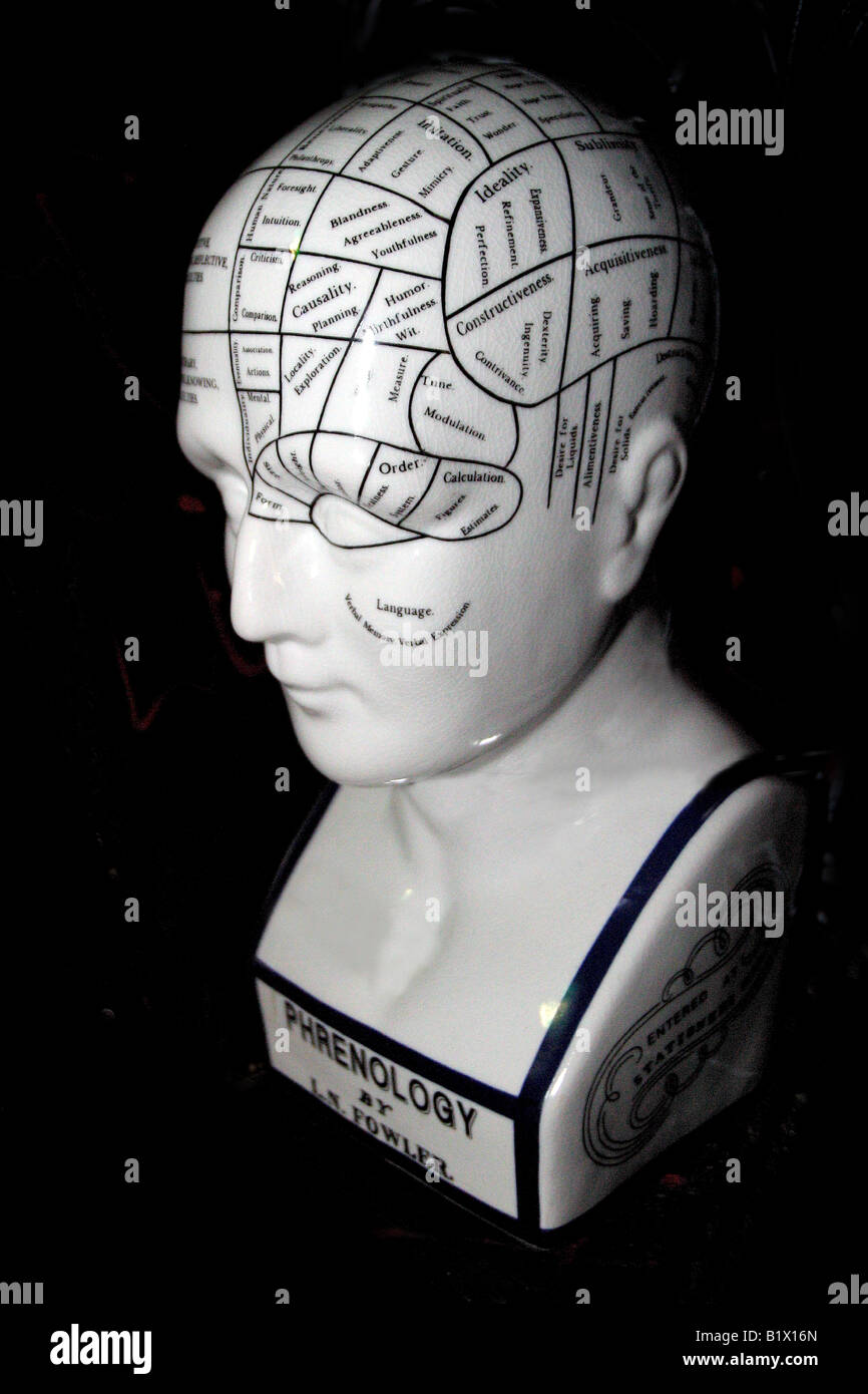 Human Brain Sculpture