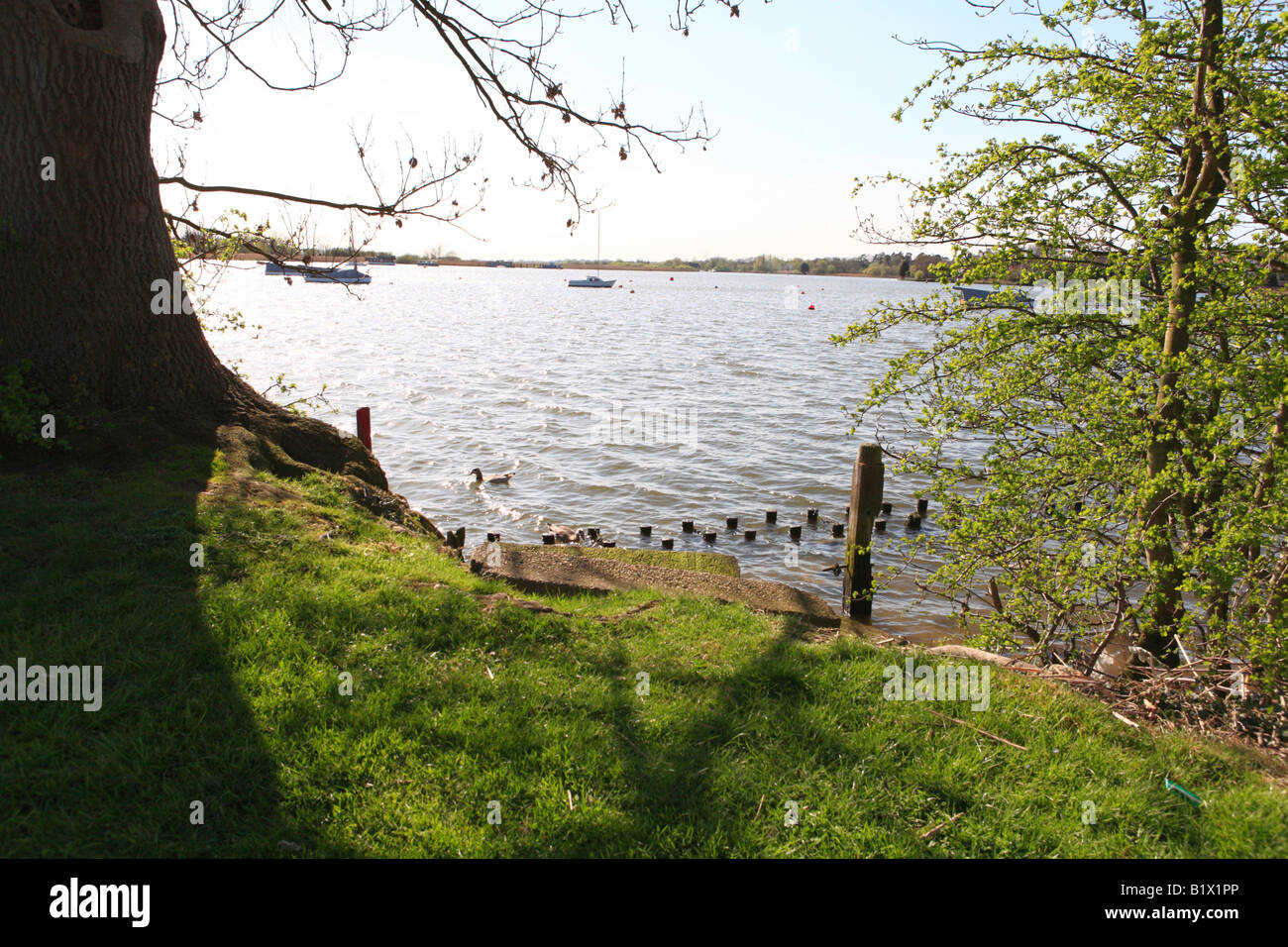 view across Oulton Broad from the south bank Stock Photo