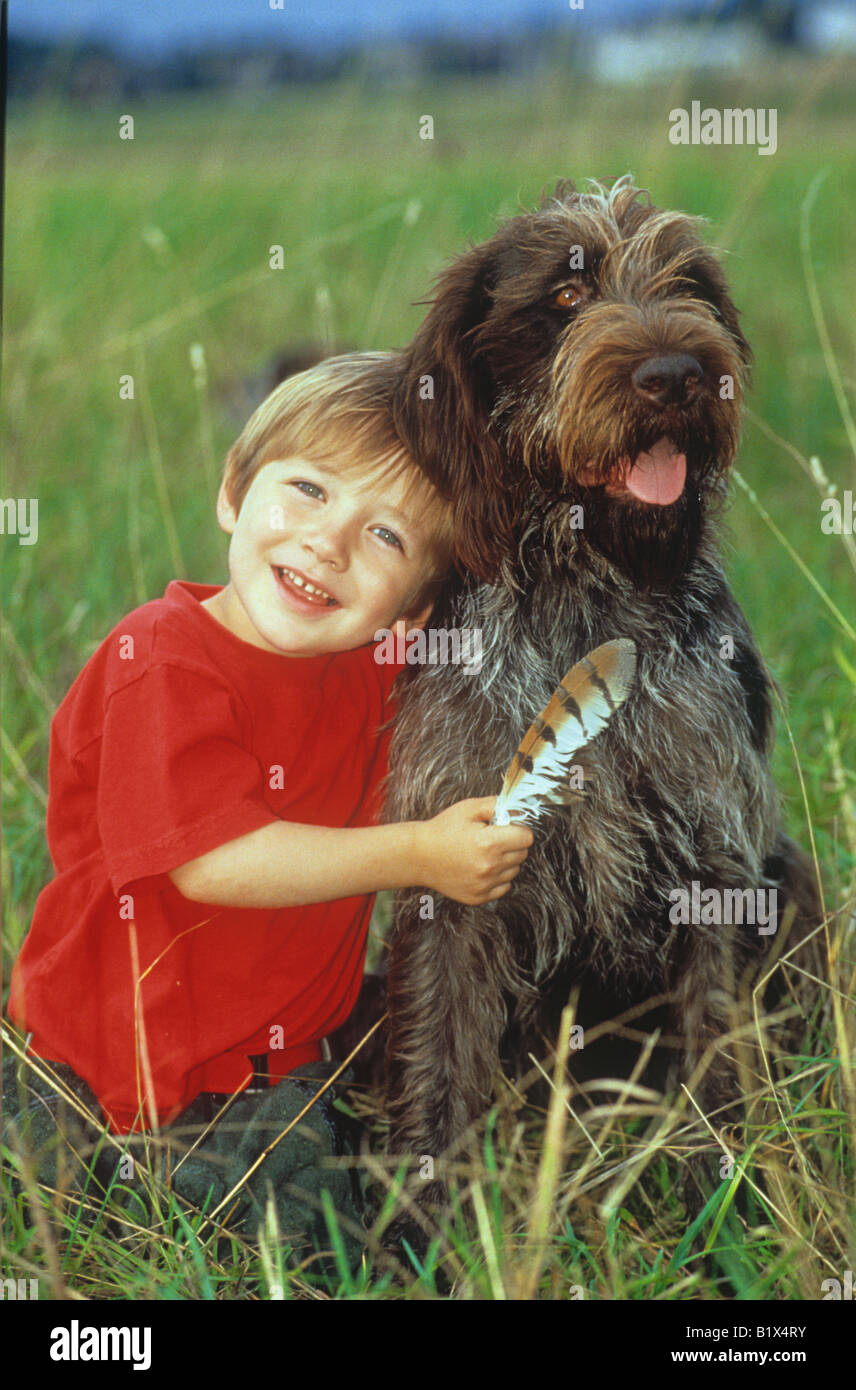 boy with german wirehaired pointer Stock Photo