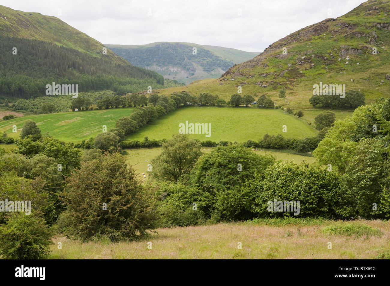 UK Wales Powys Rhayader Gilfach Nature Reserve Wye Valley Walk Cambrian mountains Stock Photo