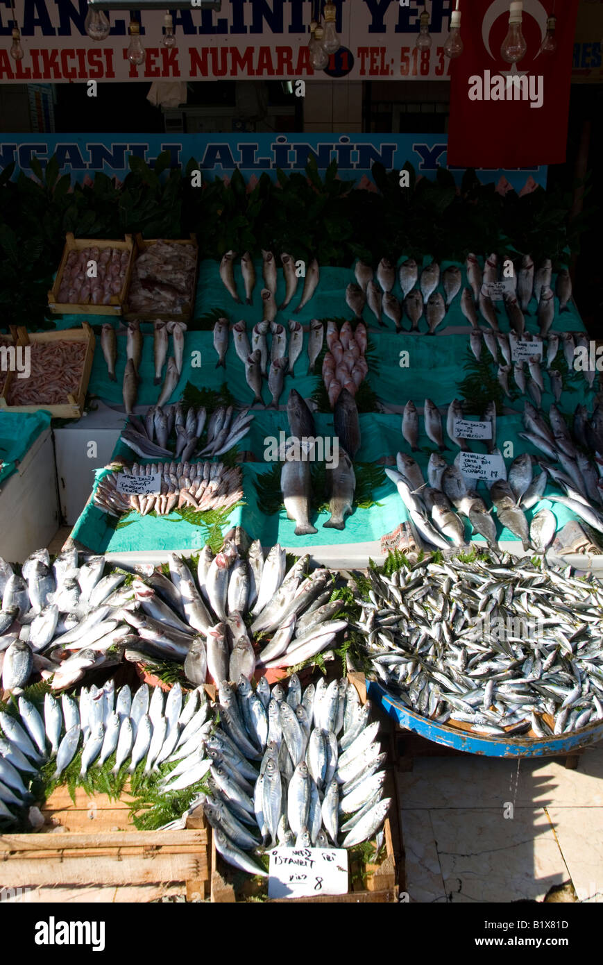 Istanbul Fishing Fleet & Fish Market Stock Photo - Alamy