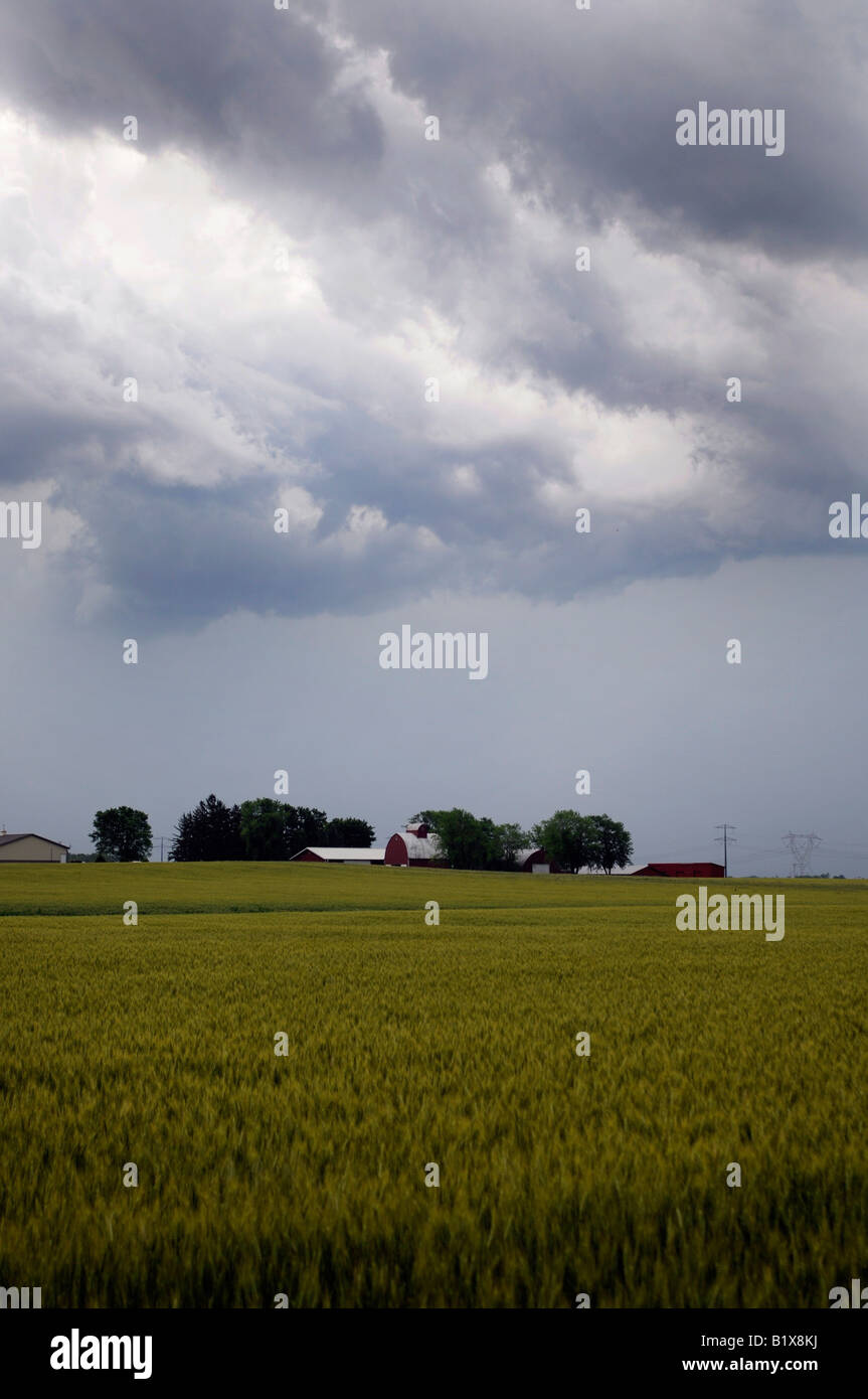 A thunderstorm rolls over a farm in the midwestern United States Stock Photo