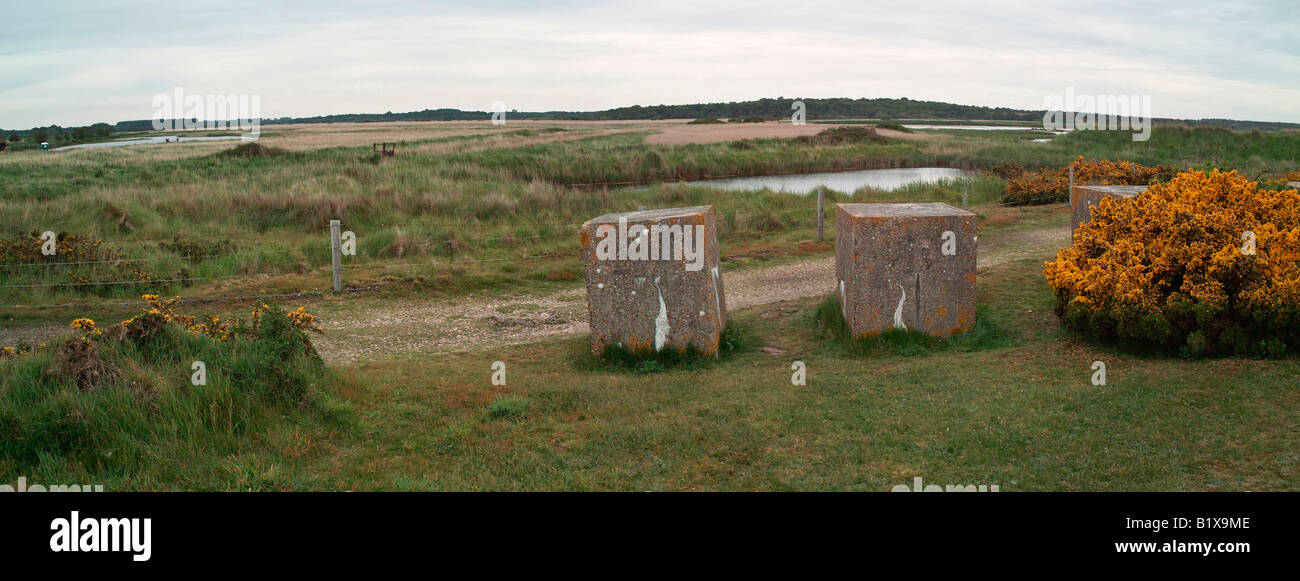 Looking north west over RSPB Minsmere with Gorse and world war two concrete blocks in foreground Stock Photo