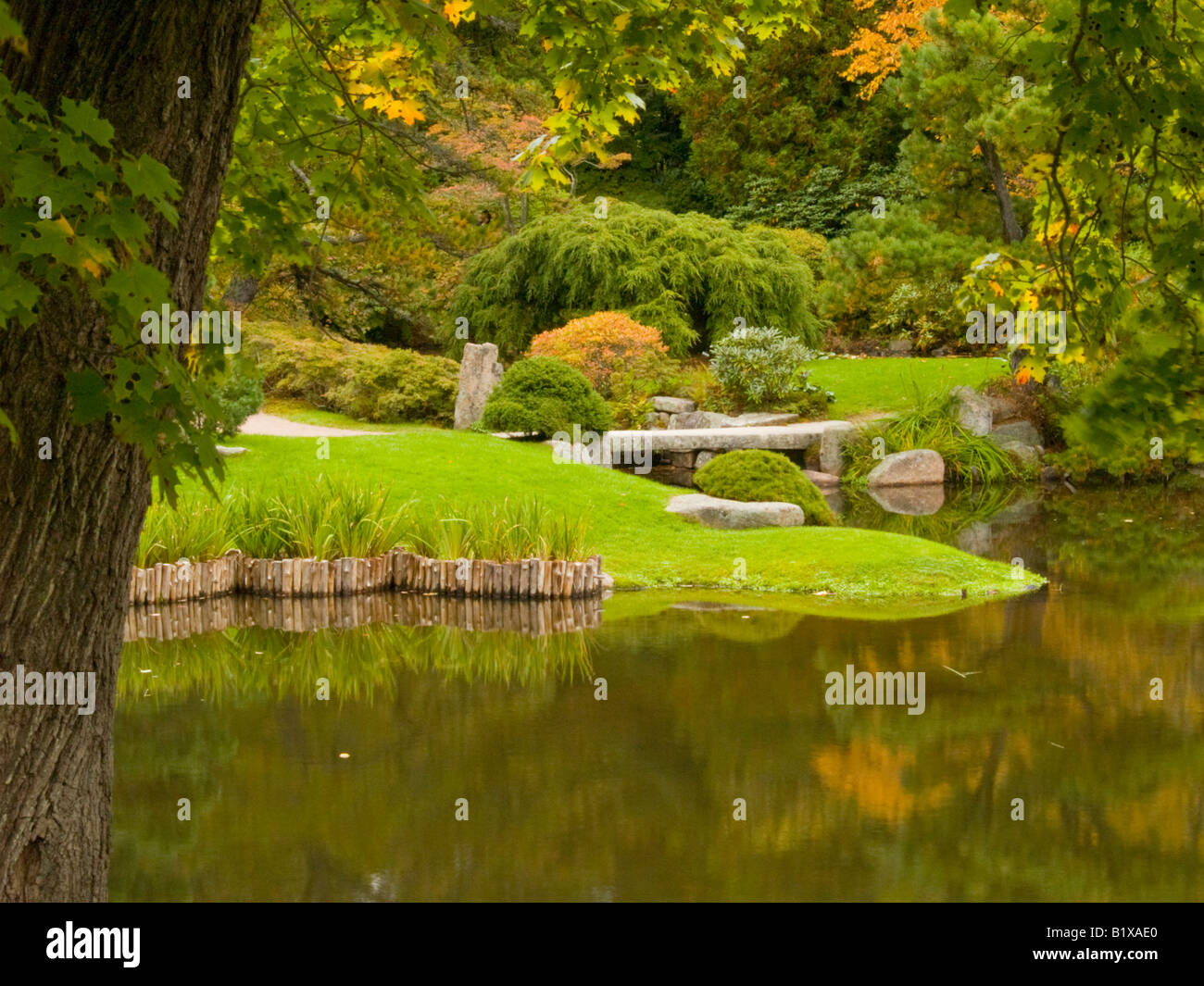 Asticou azalea garden, united states hi-res stock photography and ...