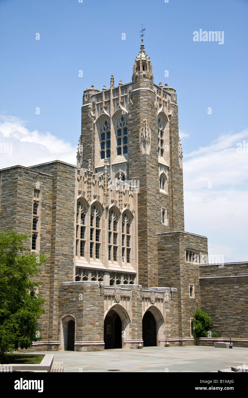 Princeton University Library Reading Room