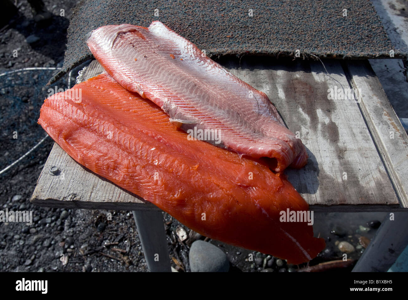 Fileting of a red salmon at the Copper River near the village of Chitina Alaska USA Stock Photo