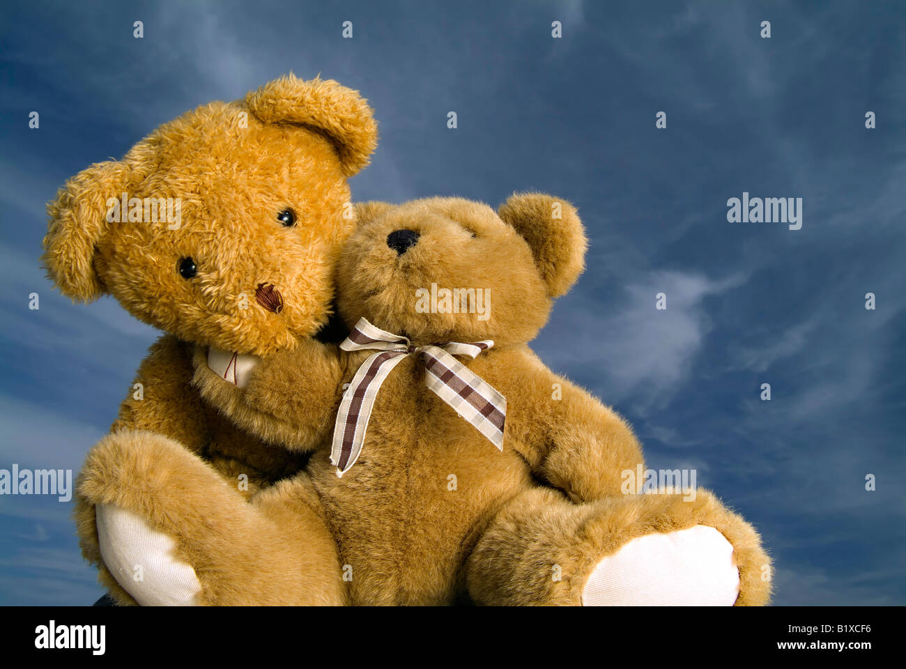 teddy bear hugs
