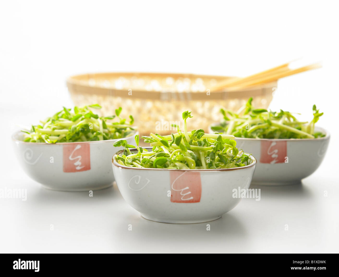 three bowls of green sprout Stock Photo