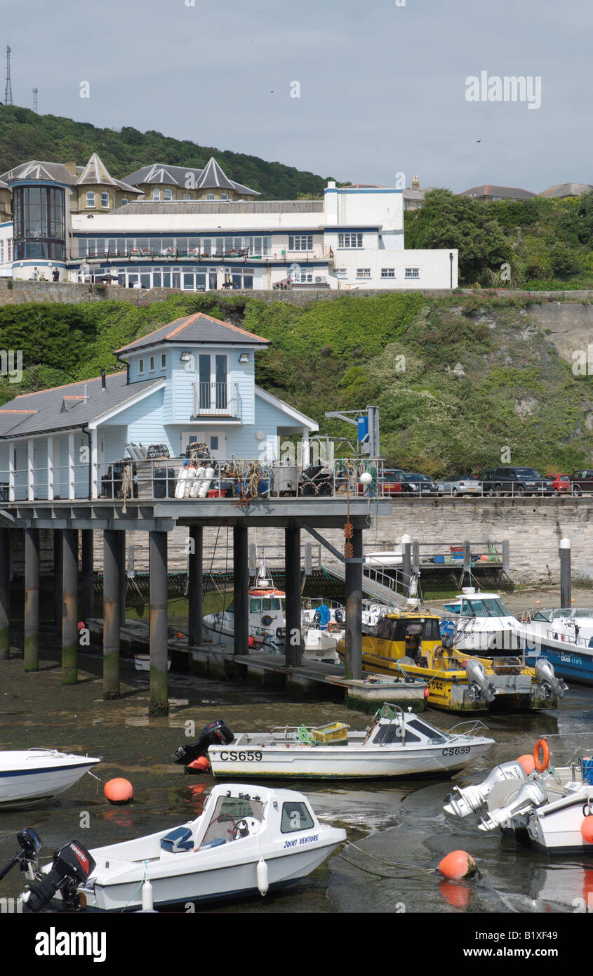 Fish Market at Ventnor Isle of Wight Stock Photo Alamy