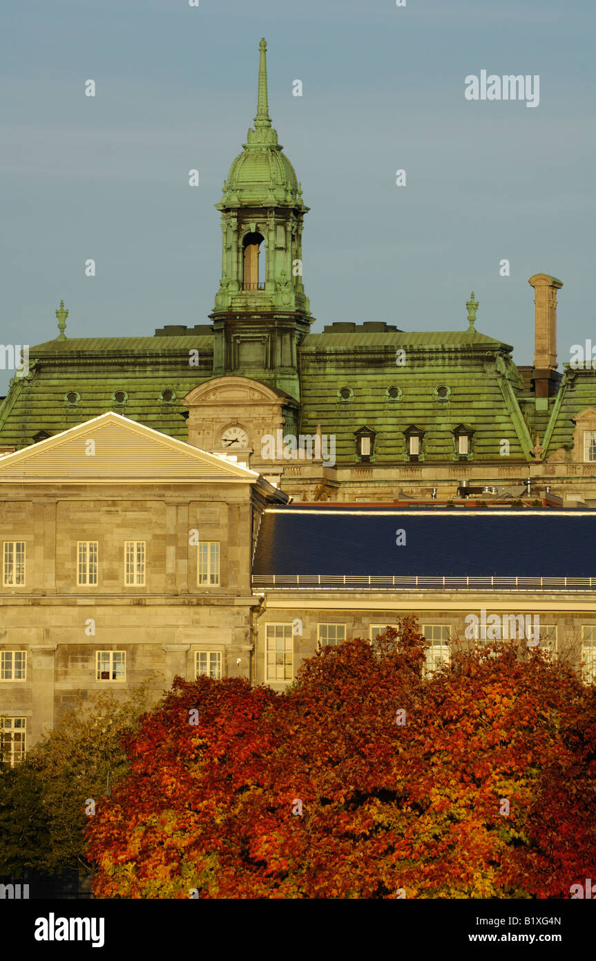 Canada, Montreal, Hotel de Ville, Town Hall, with fall foliage Stock Photo