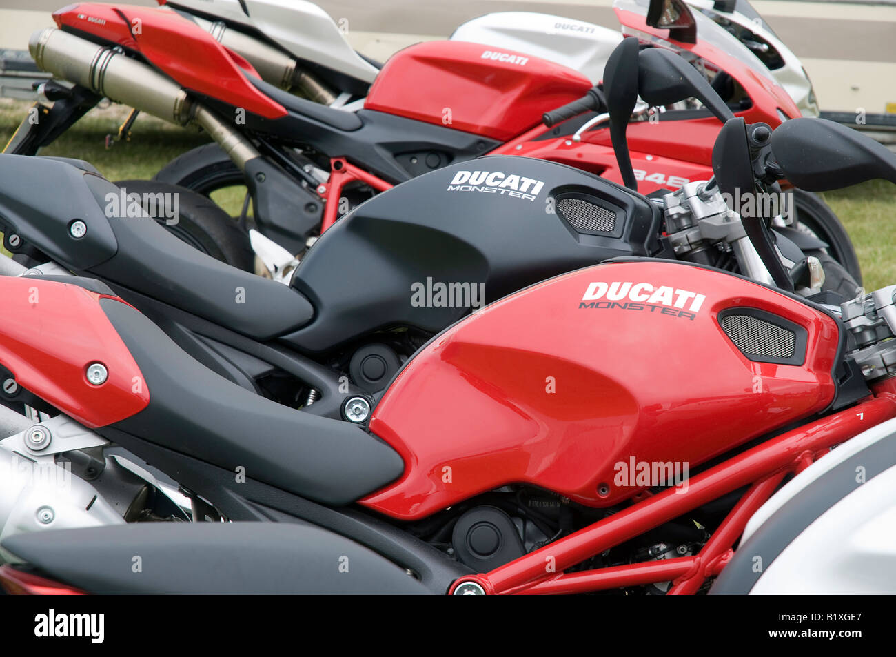 ducati monster 785