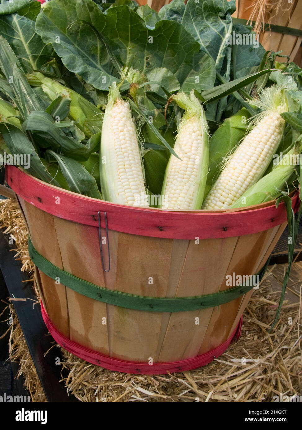 Bushel of corn hires stock photography and images Alamy