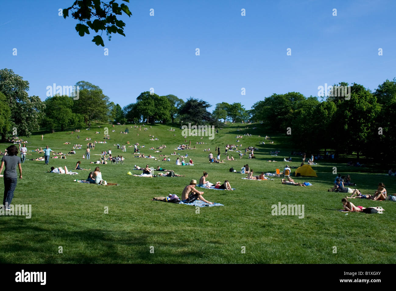 Sunbathing park london hi-res stock photography and images - Alamy