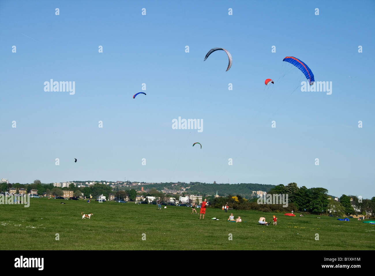 Kite Flying Blackheath London Stock Photo Alamy