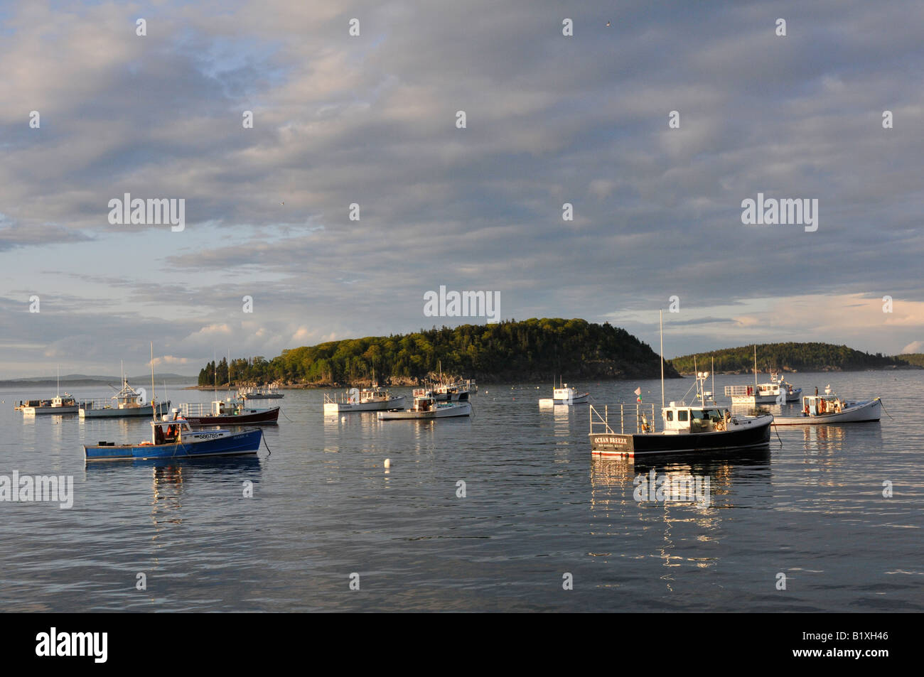 Boats in the Bar Harbor harbor, Maine, United States Stock Photo