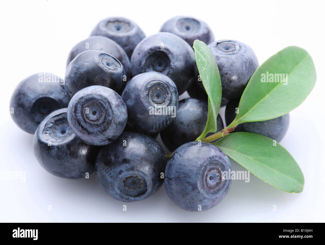 bilberry Objects on white background Stock Photo