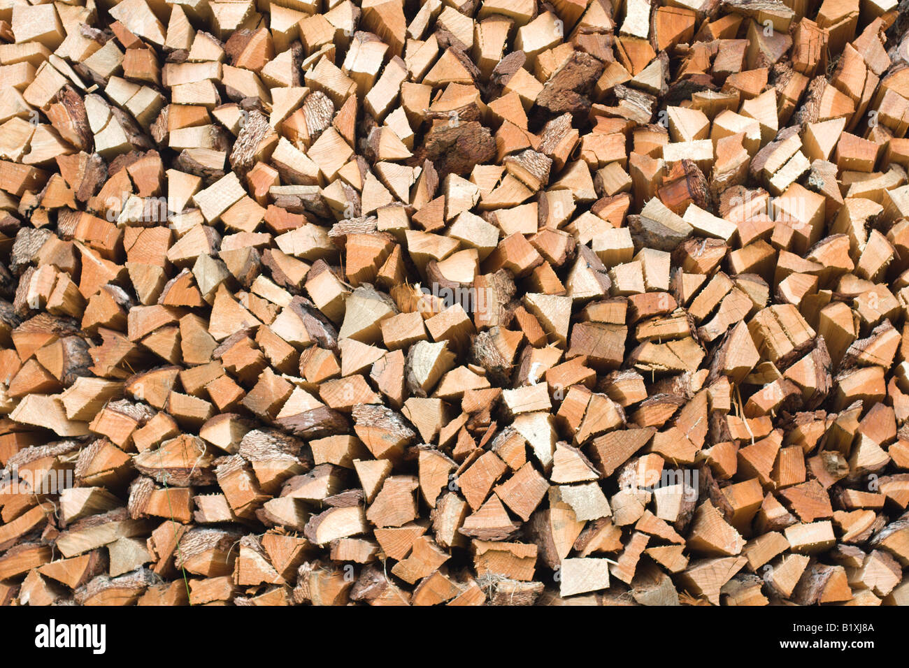 the woodpile of larch firewood Stock Photo Alamy