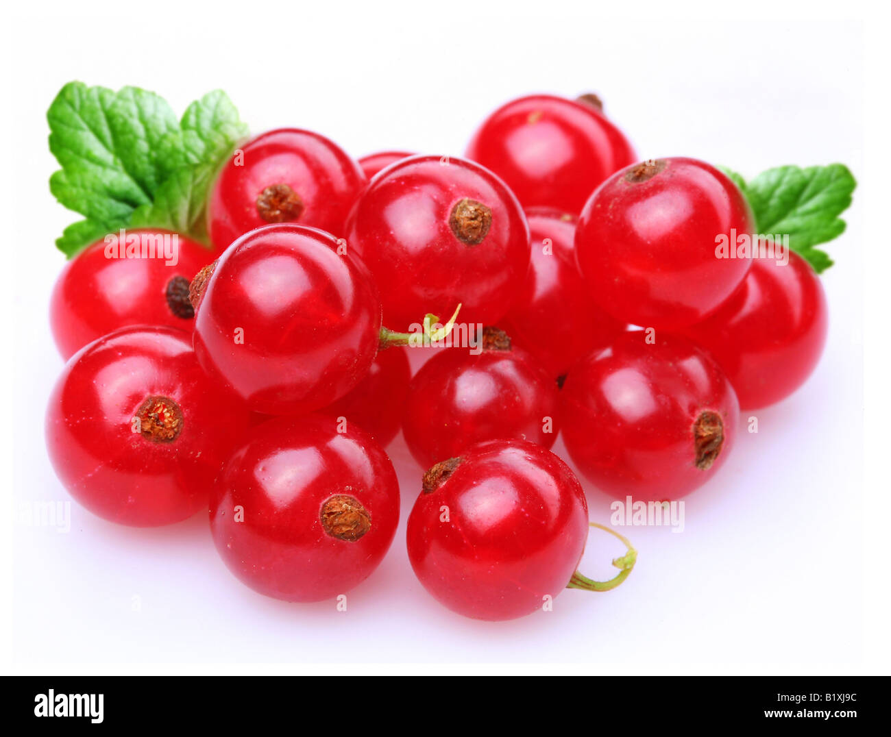 Currant object on a white background Stock Photo