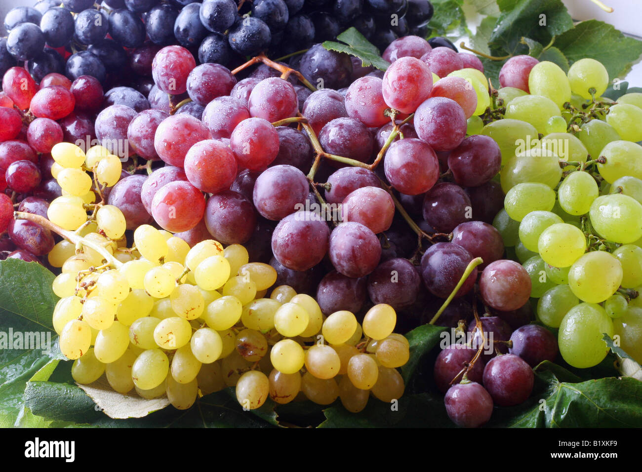 Glean hi-res stock photography and images - Alamy