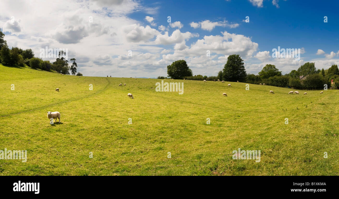 views from the monarchs way long distance footpath tardebigge ...