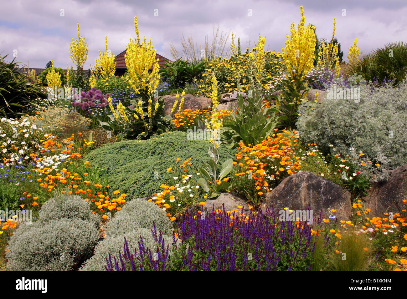 THE DRY GARDEN AT RHS HYDE HALL IN EARLY SUMMER Stock Photo