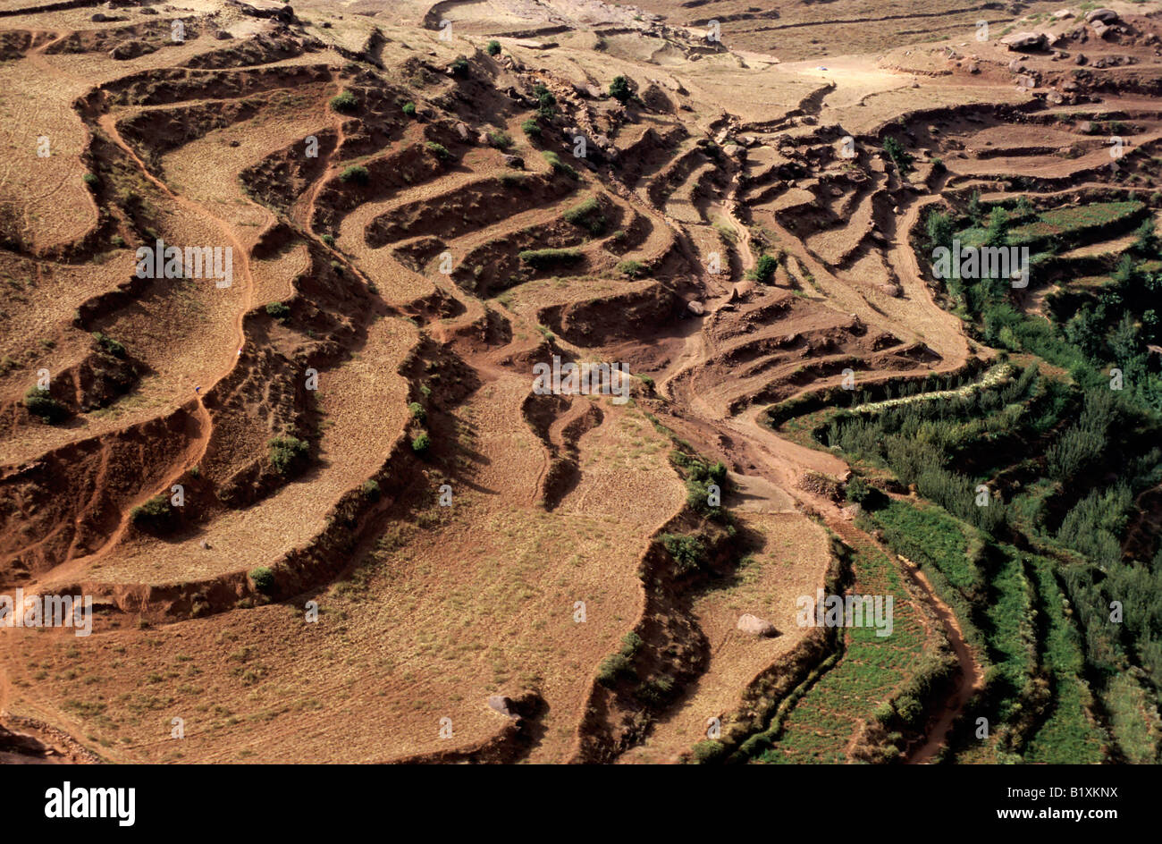 Terraced landscape fields, Atlas Mountains, Morocco. Stock Photo