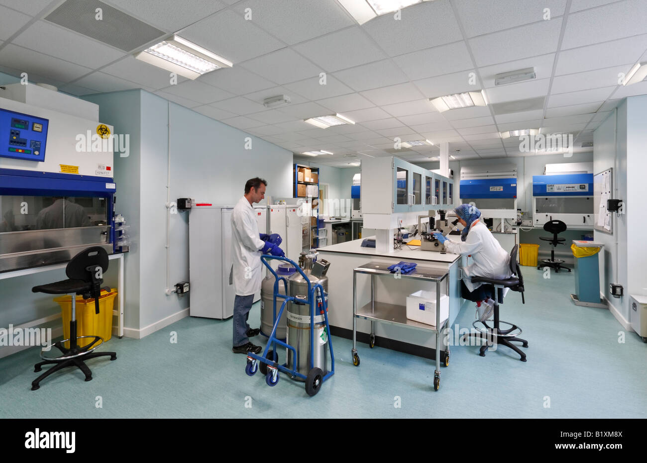 School of Clinical Dentistry in Sheffield Stock Photo Alamy