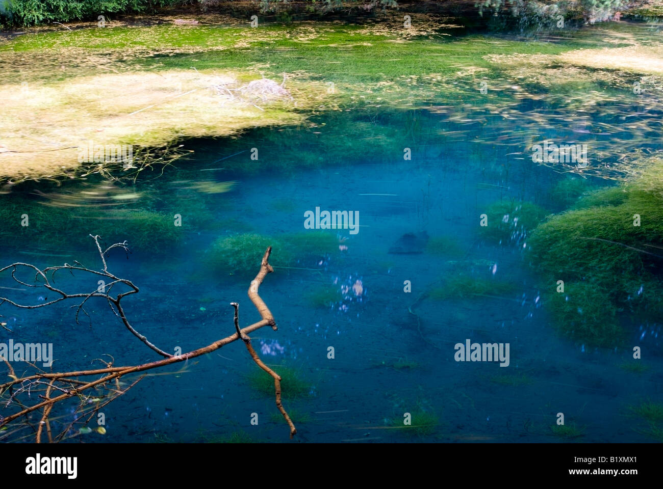 Silent pool surrey hi-res stock photography and images - Alamy