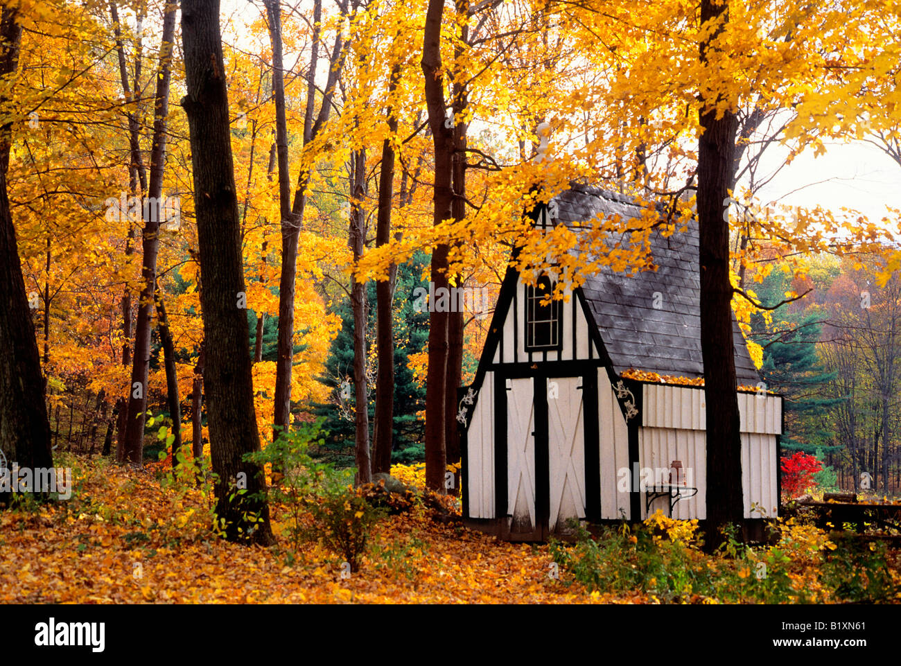 duchess county new york state autumn victorian garden shed
