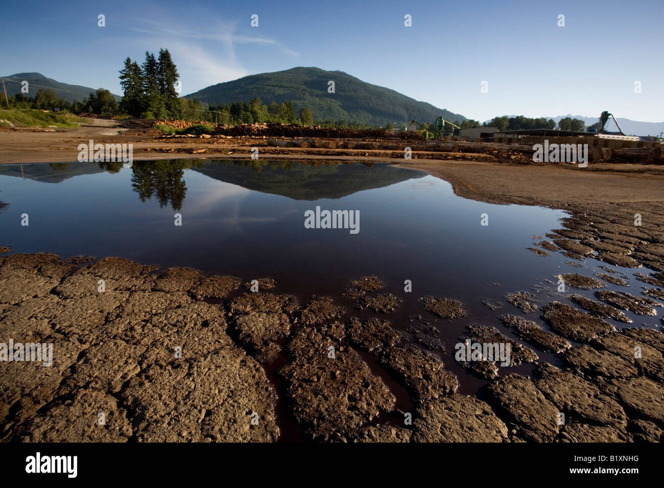 Timber Mill Reflection in Pool Stock Photo