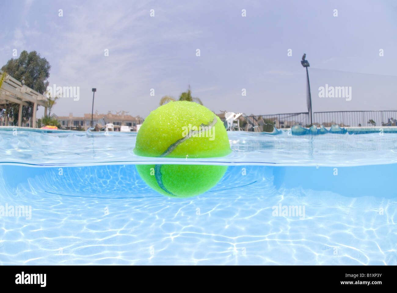 Tennis ball floating in pool Stock Photo Alamy