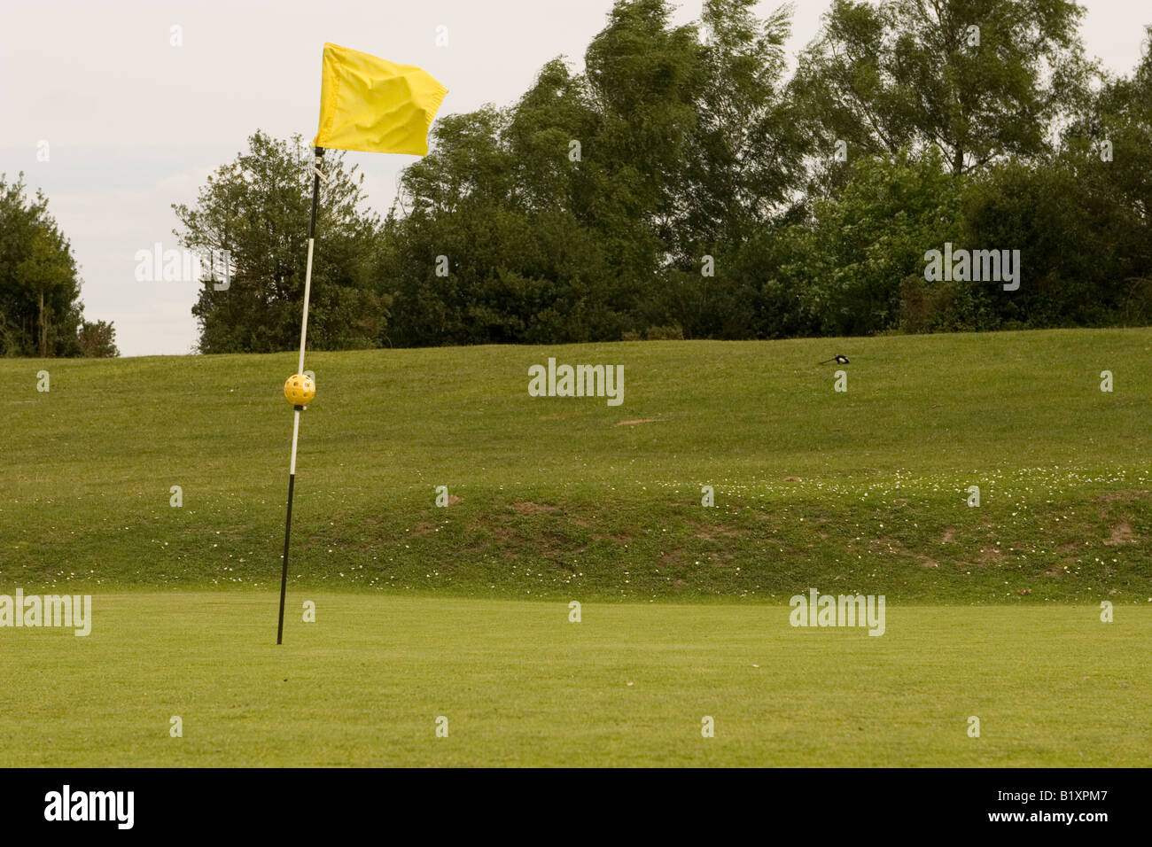 Golf flag hires stock photography and images Alamy
