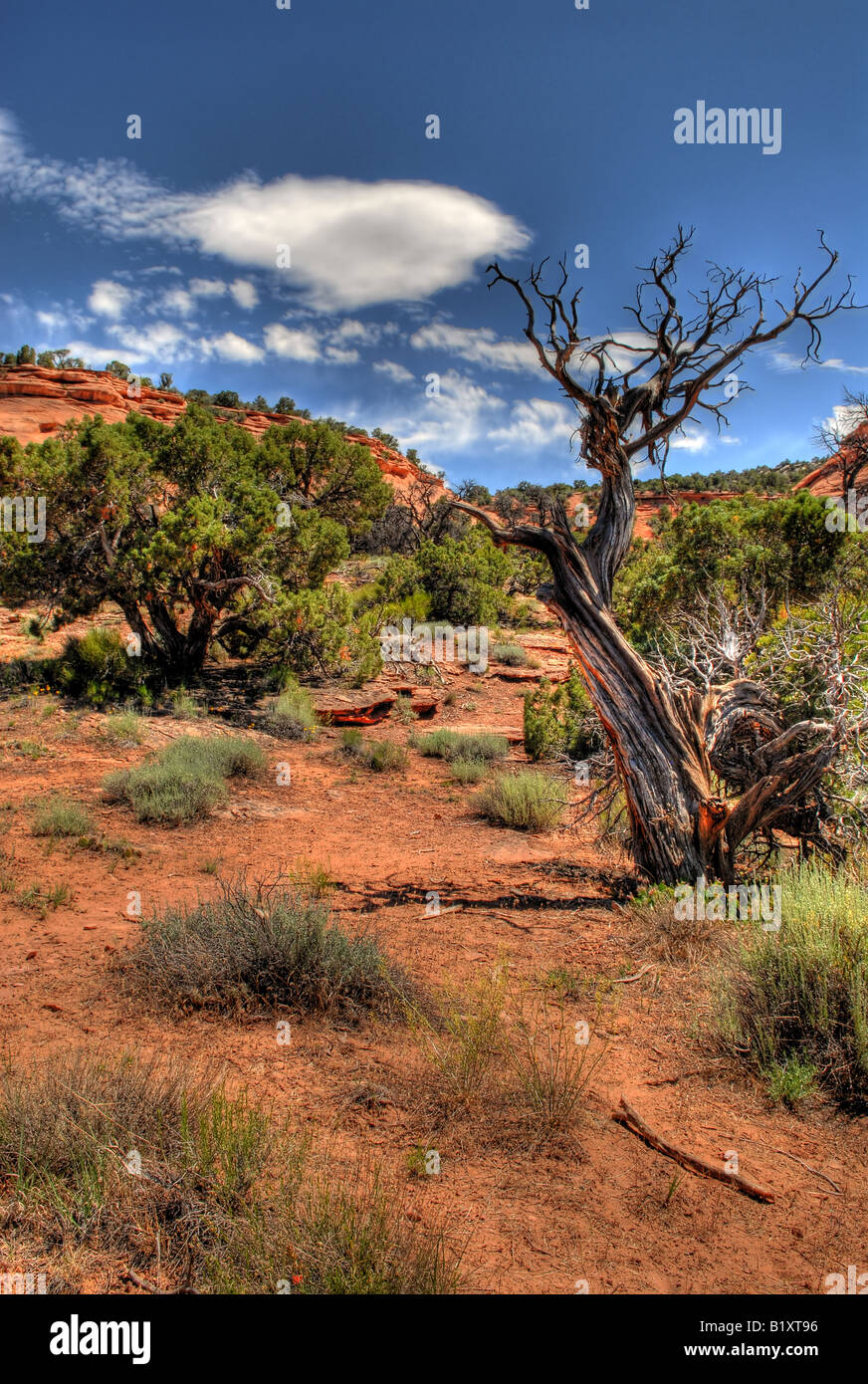 HDR image of a Canyon Stock Photo