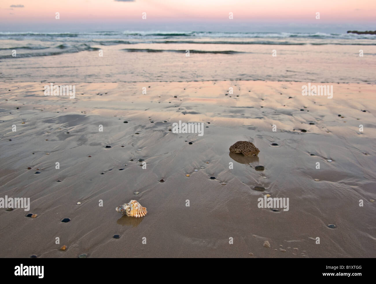 Beautiful beach sunset ocean hi-res stock photography and images - Alamy