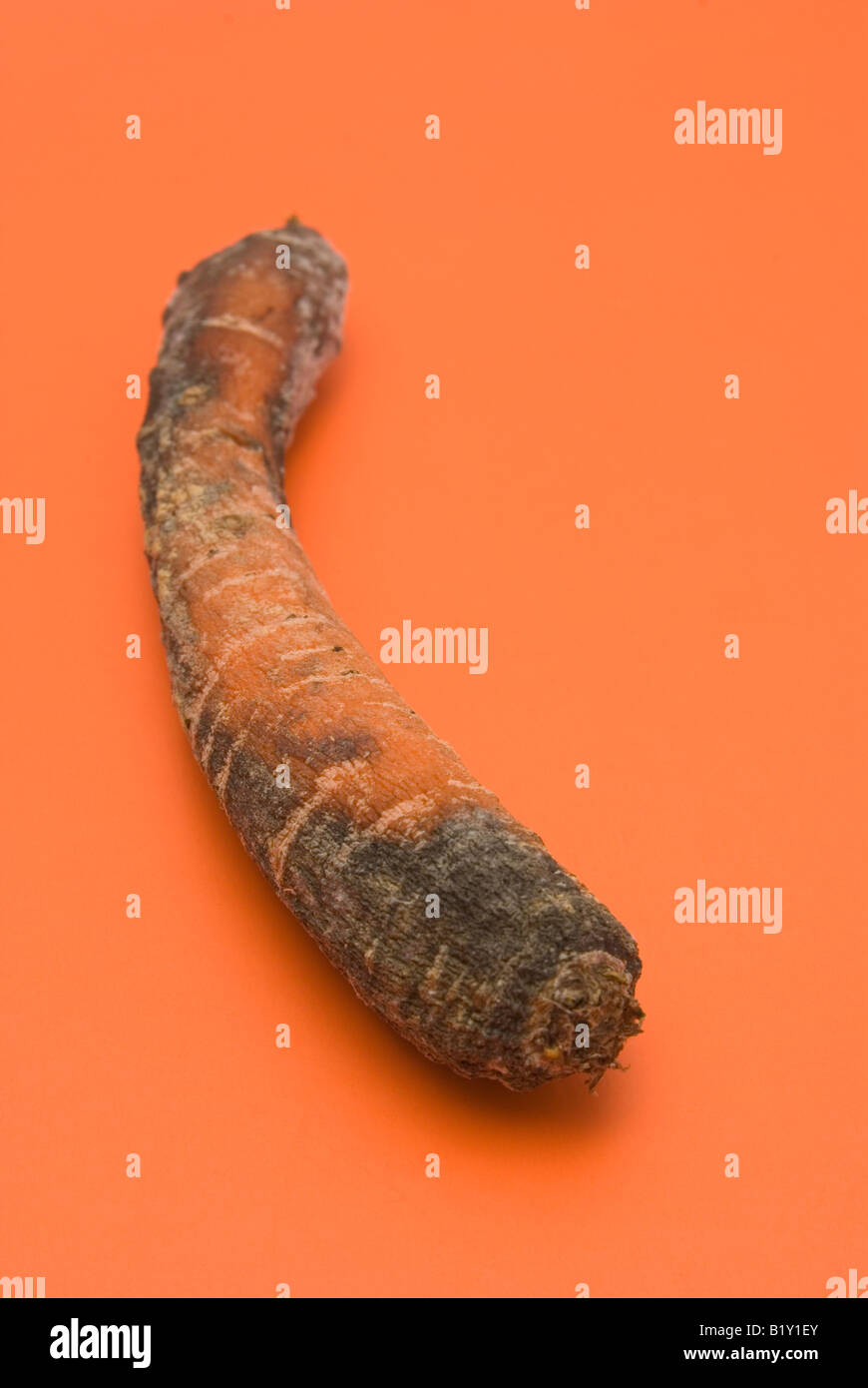 Expired decay hires stock photography and images Alamy