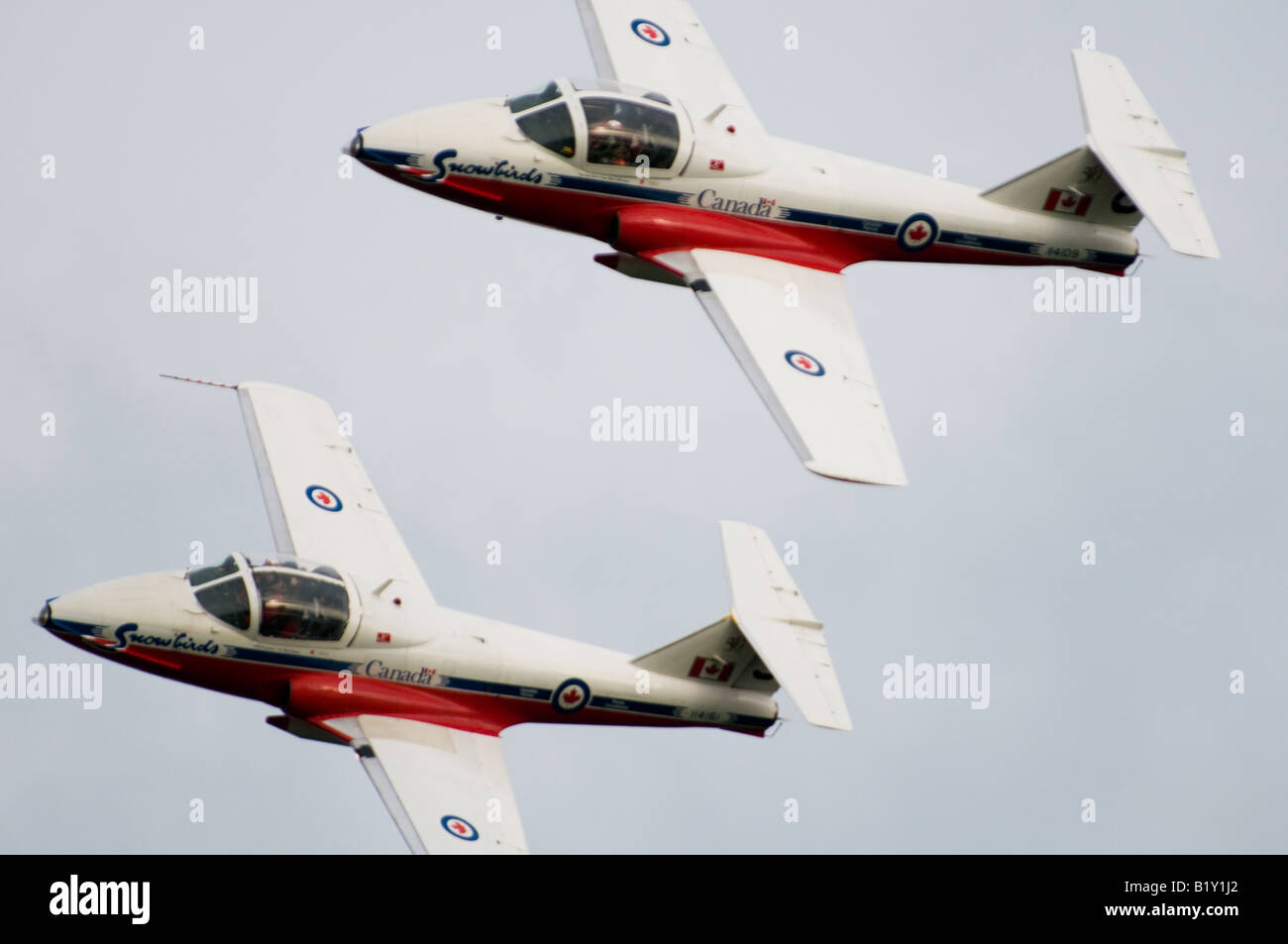 The Snowbirds, Canada's extreme aerobatic team, perform precise maneuvers together in the sky. Stock Photo