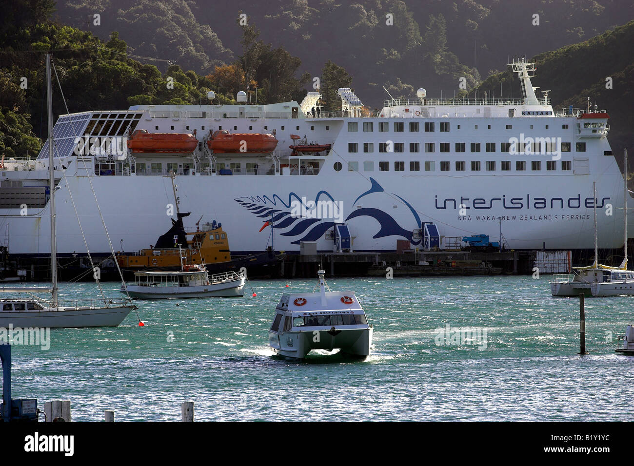 The mail boat Tiri Cat arrives back in Picton marina while the