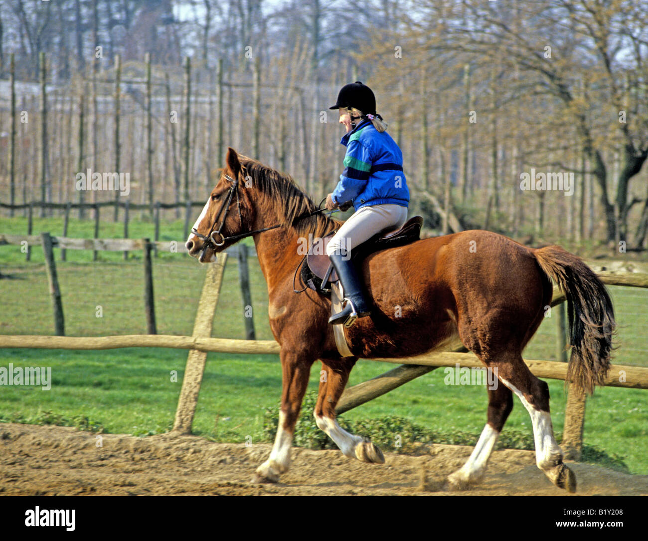 0829 Horse riding Kent England Stock Photo Alamy