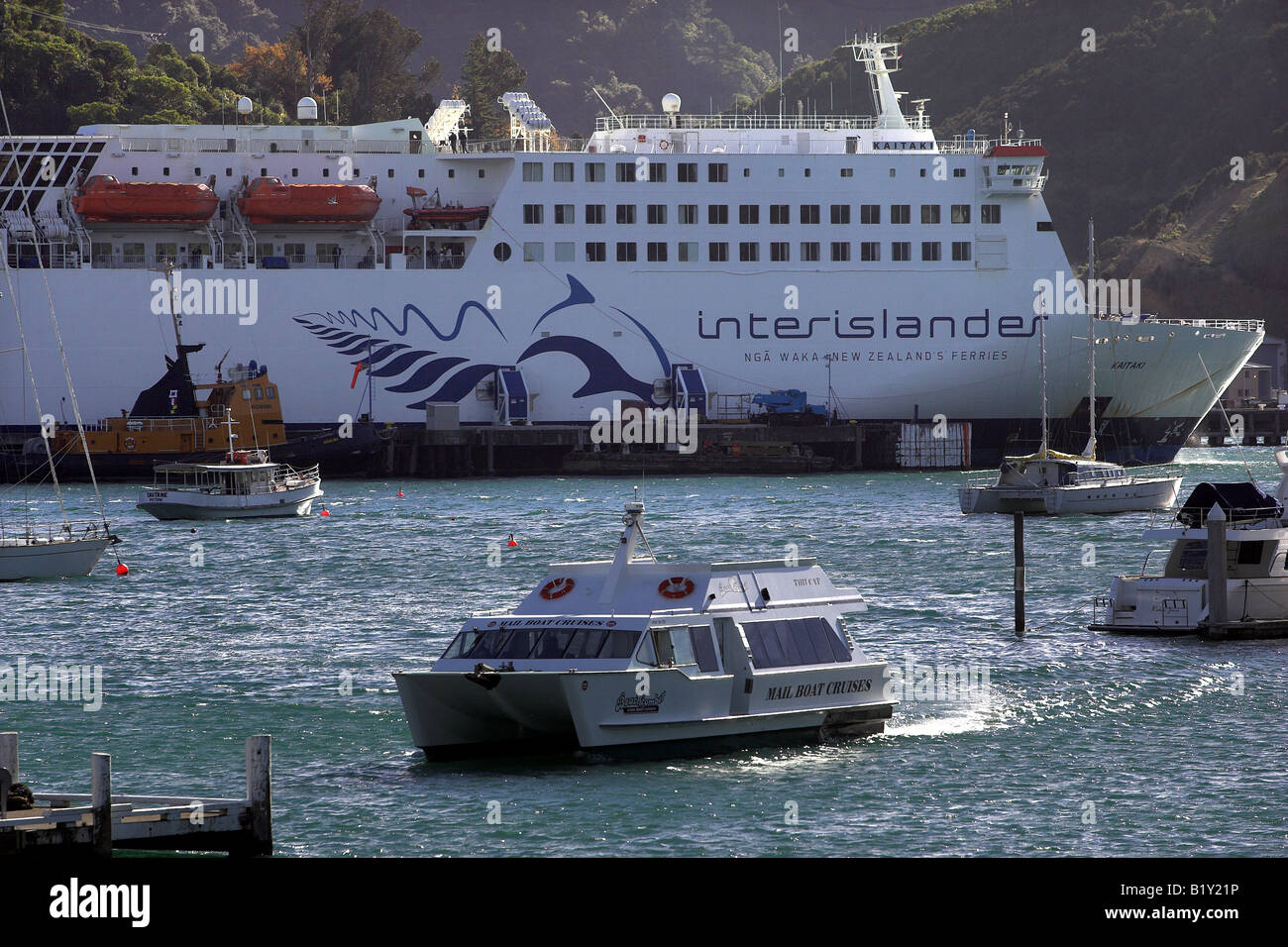 The mail boat Tiri Cat arrives back in Picton marina while the