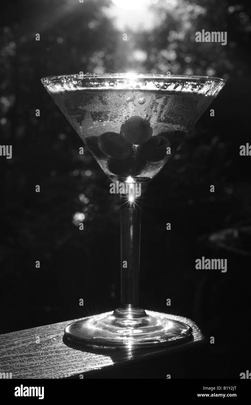 Black and white photograph of a martini with olives, beading with moisture in the summer heat, shimmering in the afternoon light Stock Photo