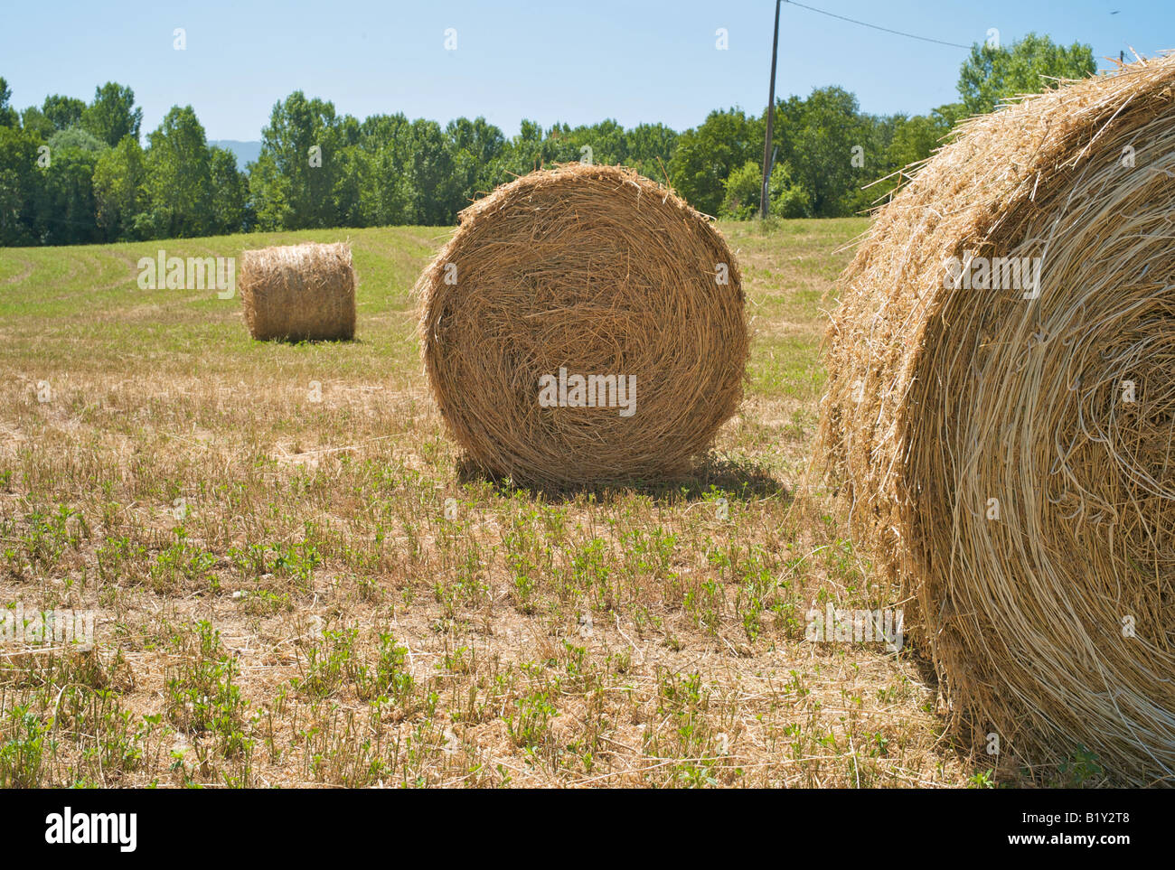 Hay field in Abruzzo Agriculture Stock Photo Alamy
