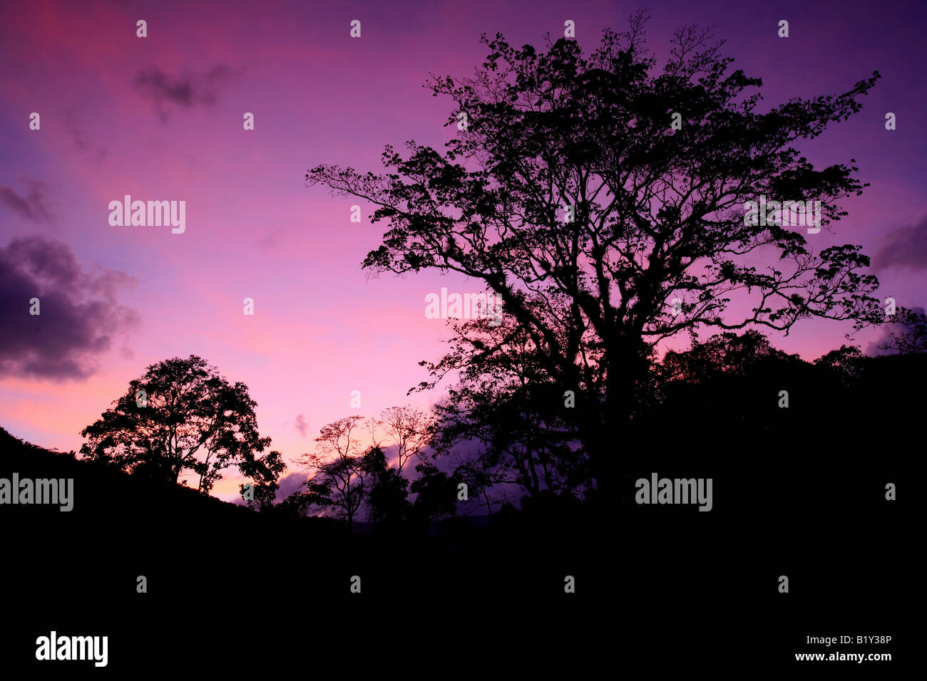 Red evening clouds over Cana field station in the Darien national park, Republic of Panama. Stock Photo