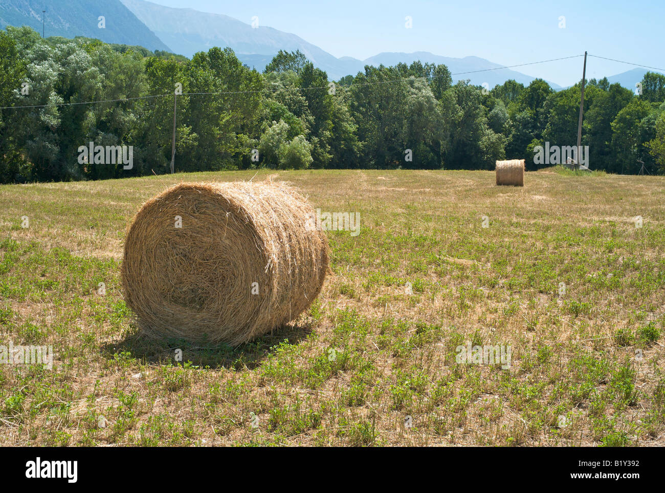 Hay field in Abruzzo Agriculture Stock Photo Alamy
