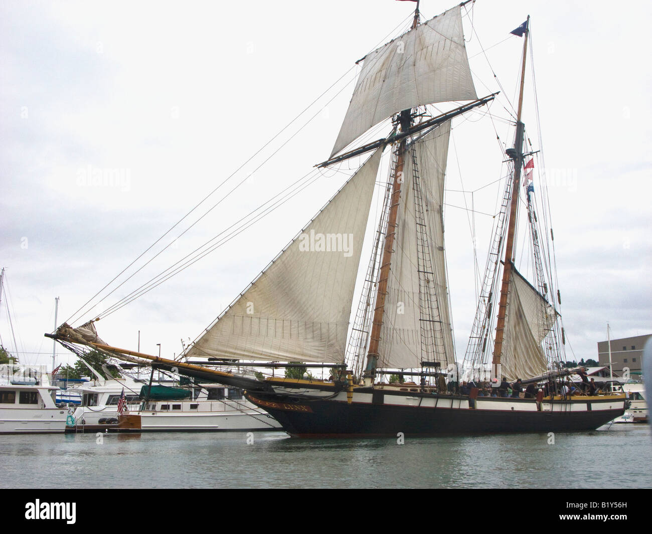 Tall ship lynx hires stock photography and images Alamy